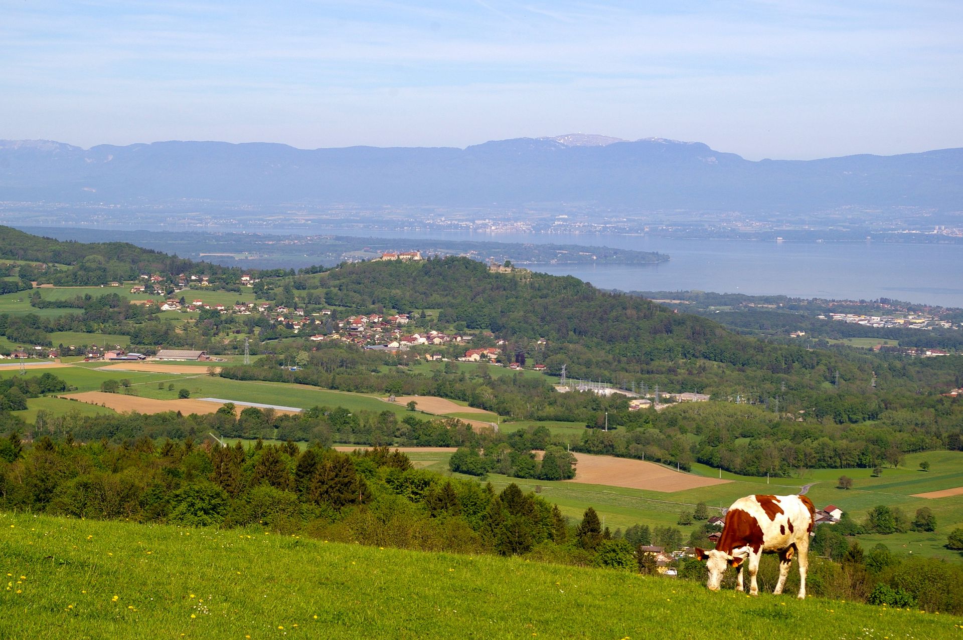 Le Chablais